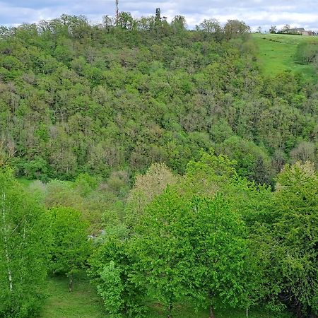 Agreable T2 Classe 3 Etoiles, Refait A Neuf, Dans Quartier Calme Rodez Zewnętrze zdjęcie