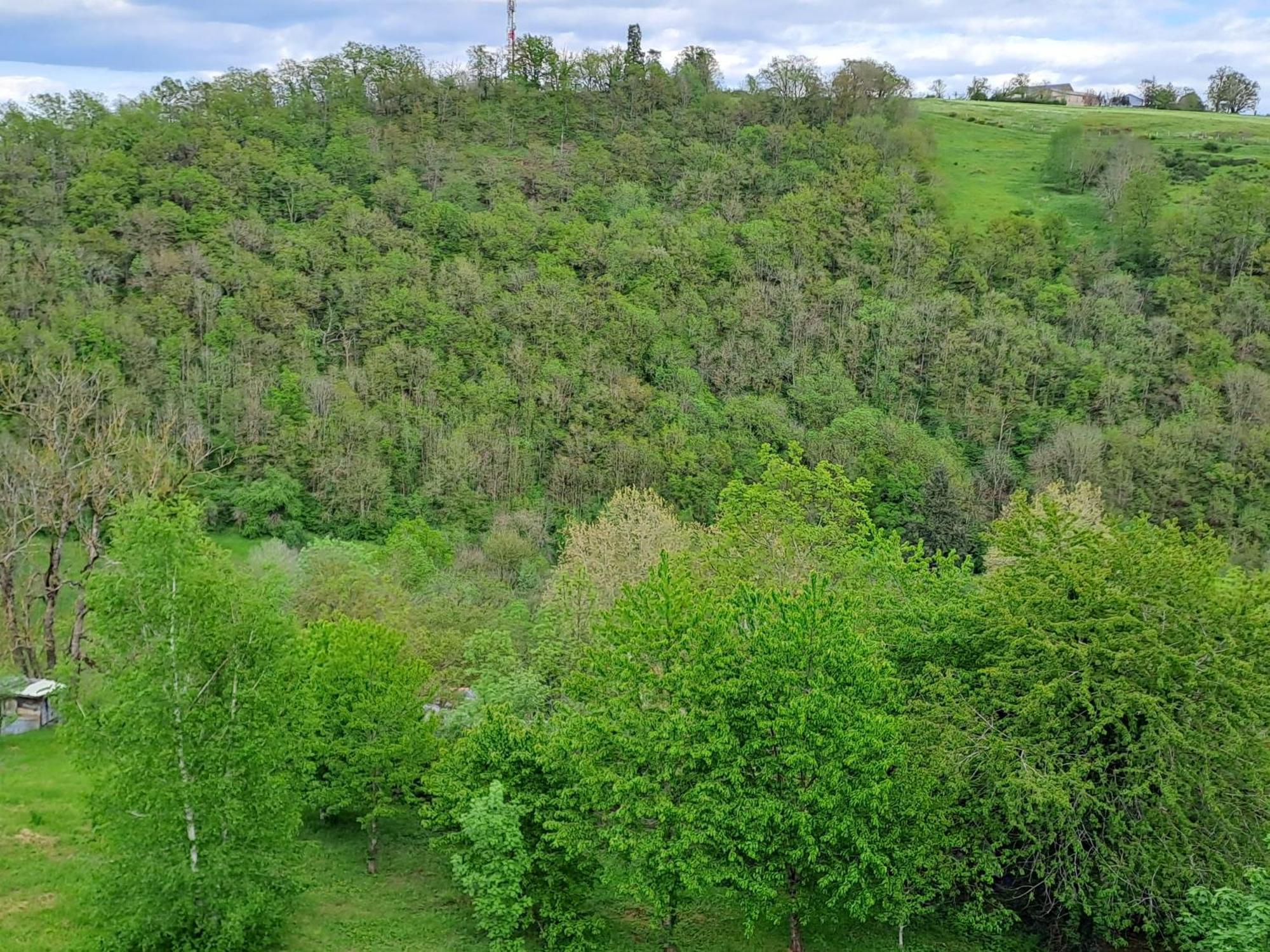 Agreable T2 Classe 3 Etoiles, Refait A Neuf, Dans Quartier Calme Rodez Zewnętrze zdjęcie